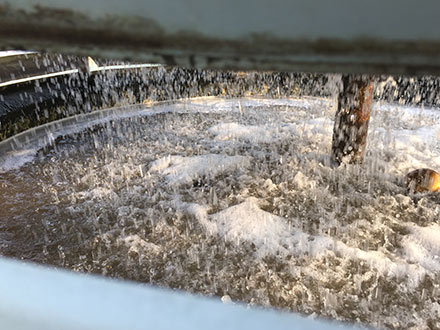 Wastewater treatment